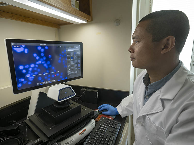 Yong Cheng studying molecules on his computer