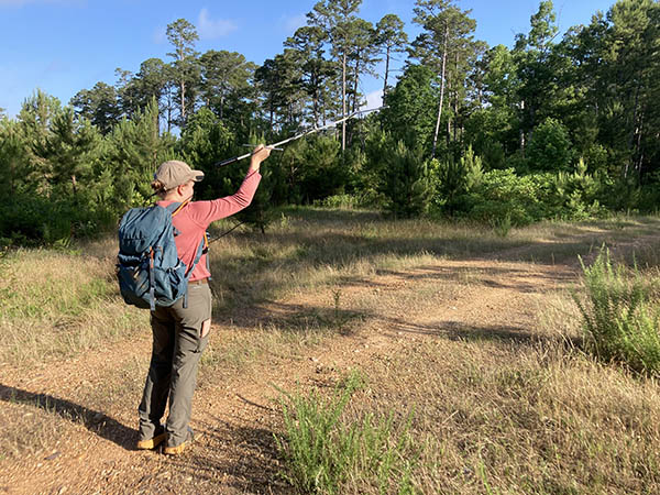 Image of an OSU graduate student monitoring turkey activity.