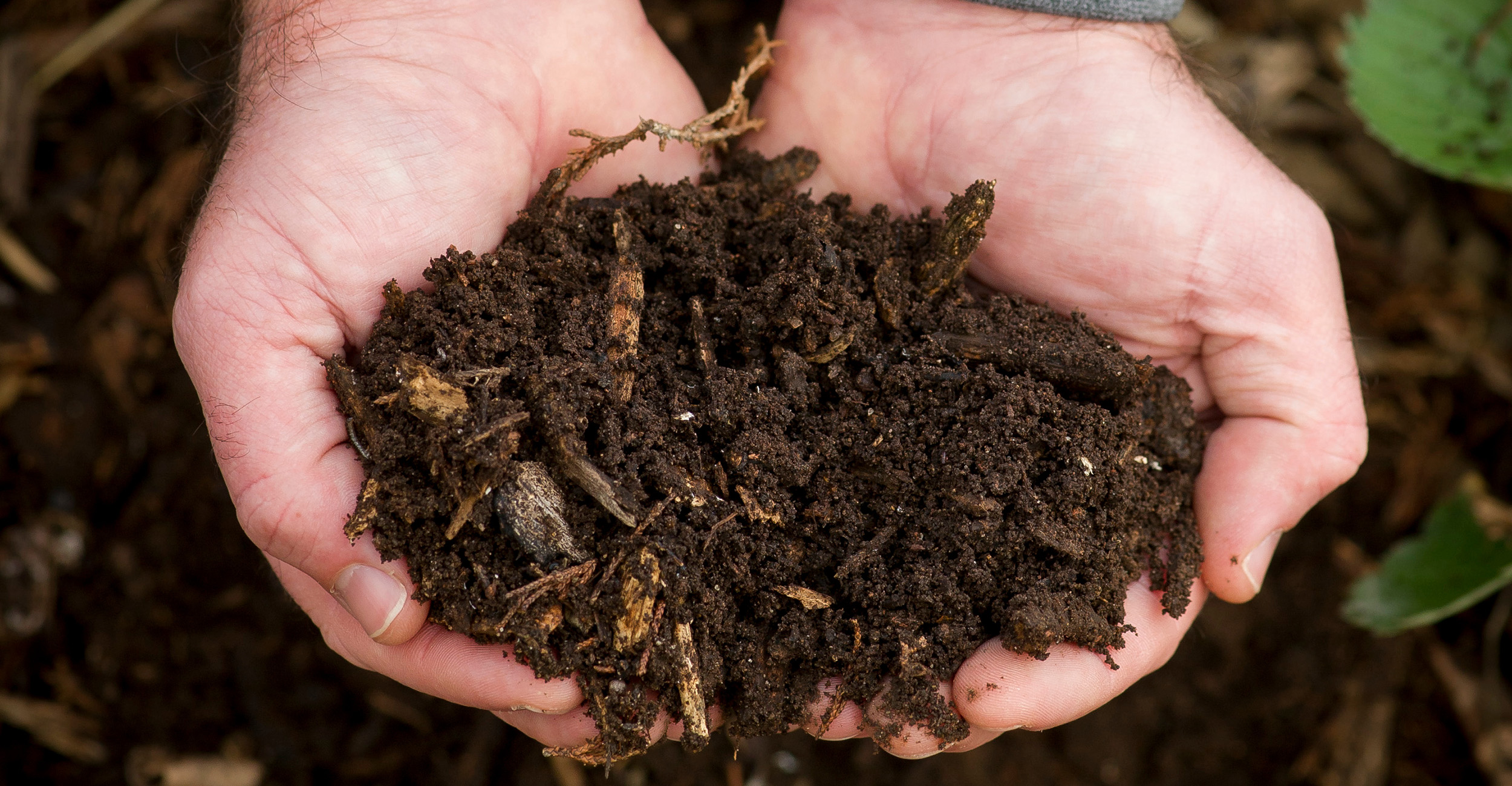 soil-research soil research