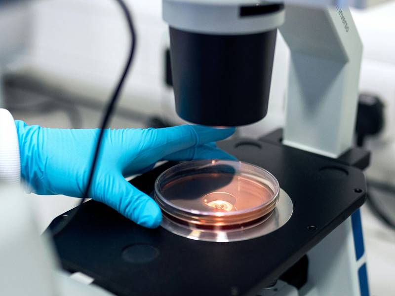 A person putting a Petri dish under a microscope.