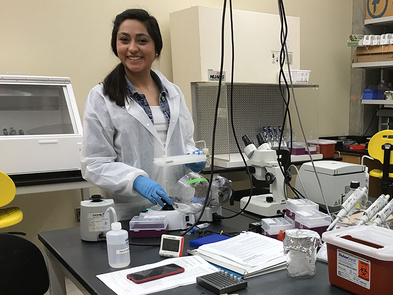 A lab woman with a testing tray in her hand at a workstation.
