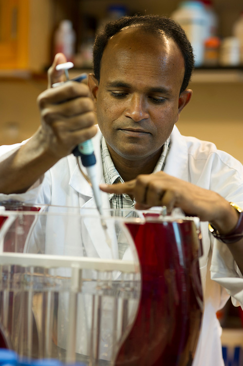 Scientist working in the lab. 