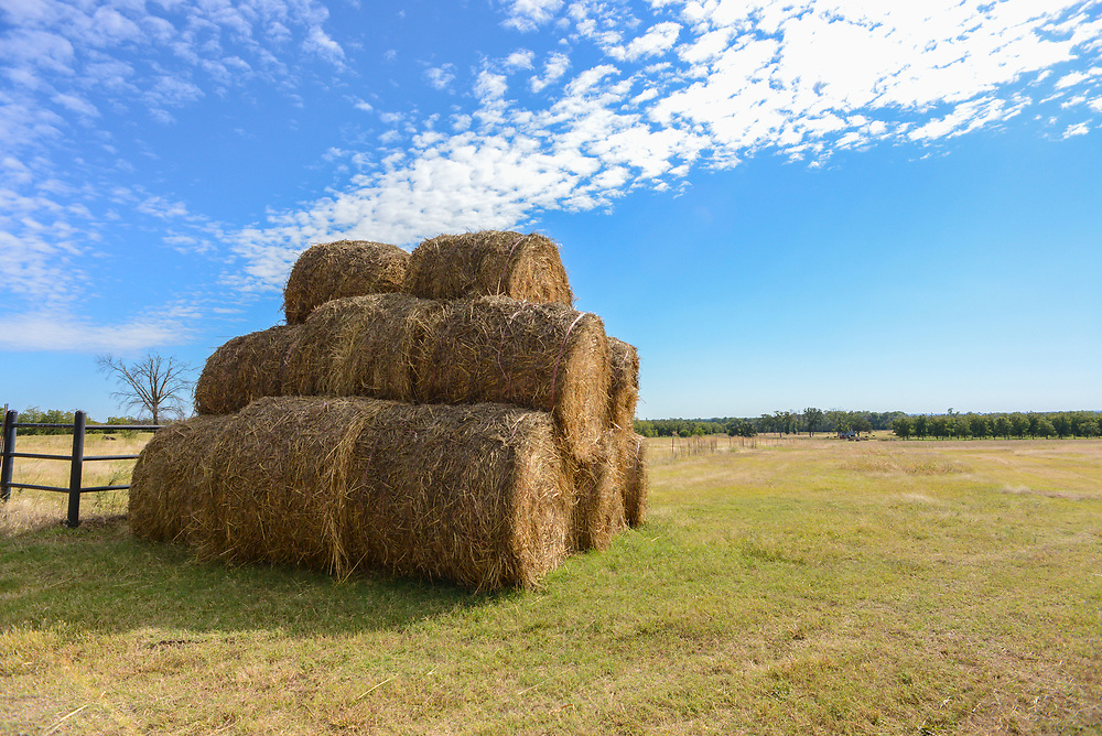 Hay barrels stacked on top of eachother on farm. 