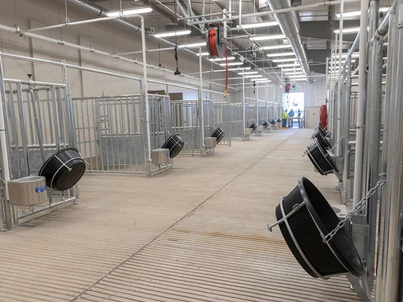 In side the Animal Nutrition and Physiology Center.