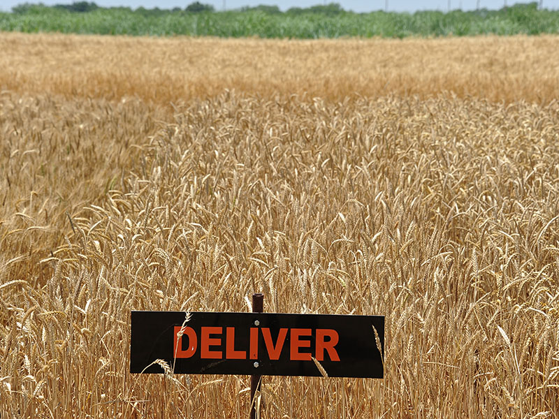A orange and black sign which says "Deliver" the sign is sitting in a field of wheat