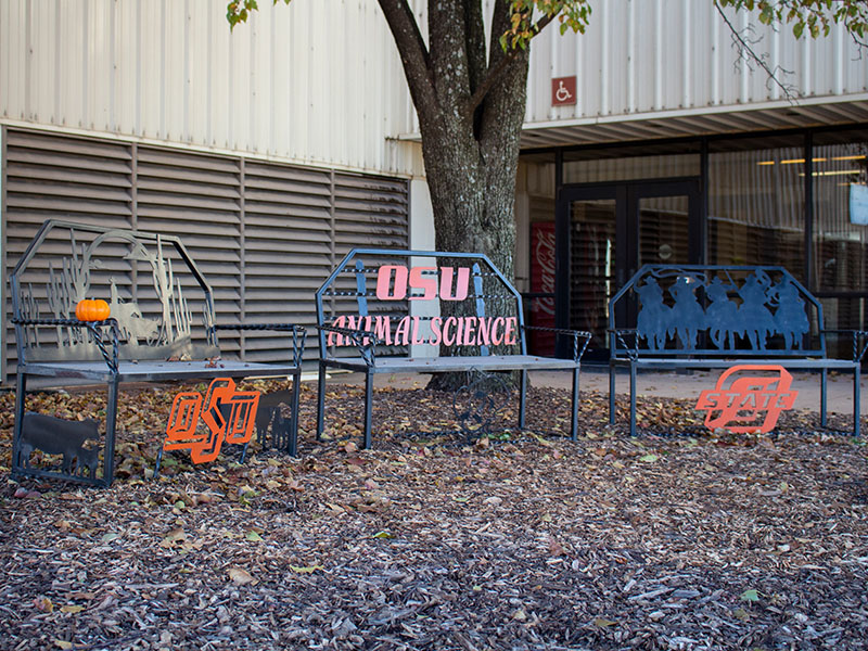 Benches in front of Totusek Arena.