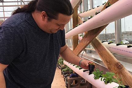 The nutrient film system uses a water pump to deliver a constant flow of nutrient rich solution to the plants.