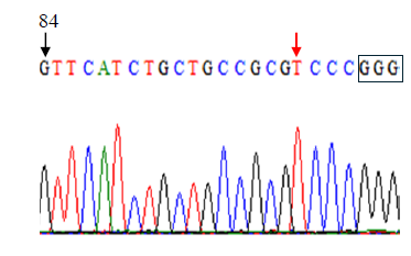 Data for TaE3V1 gene showing 84 on the first G and an arrow pointing to a T and the last three G's wrapped in a box.