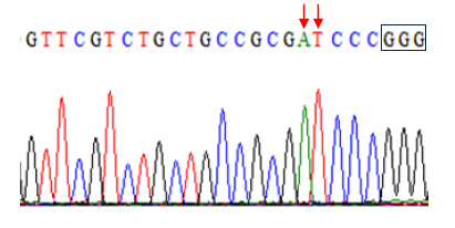 Data for TaE3V1 gene showing two arrows pointing to an A and T pair with the last three G's wrapped in a box.