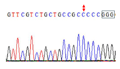 Data for TaE3V1 gene showing an arrow pointing up and down to a C and the last three G's wrapped in a box.