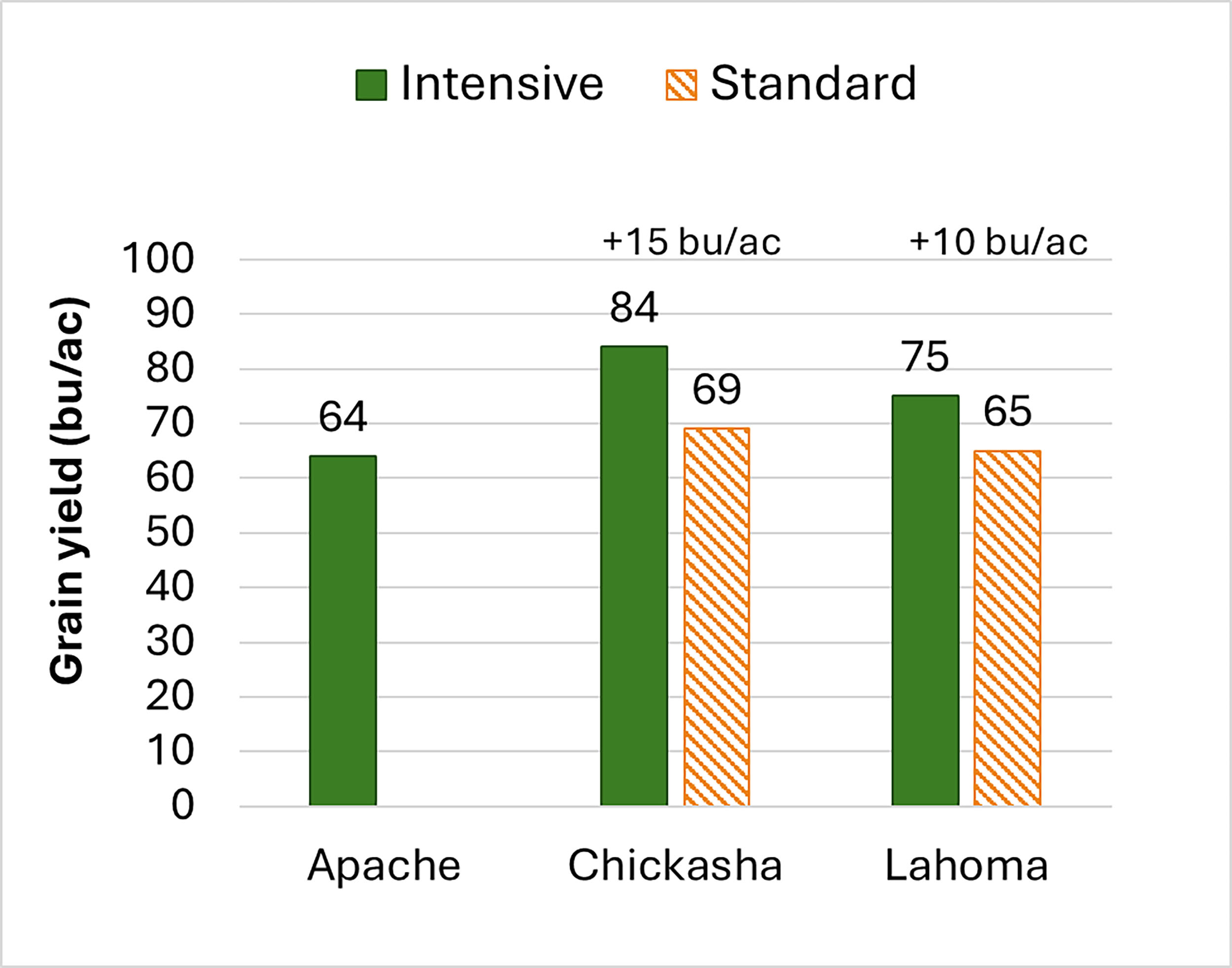 The 2023-2024 OSU Wheat Variety Performance Trials data for grain yield comparing intensive and standard management in Apache, Chickasha and Lahoma.