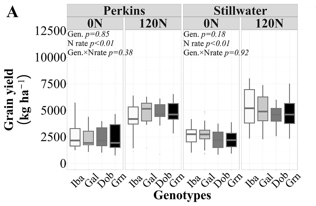 The grain yield data comparison between Perkins and Stillwater.