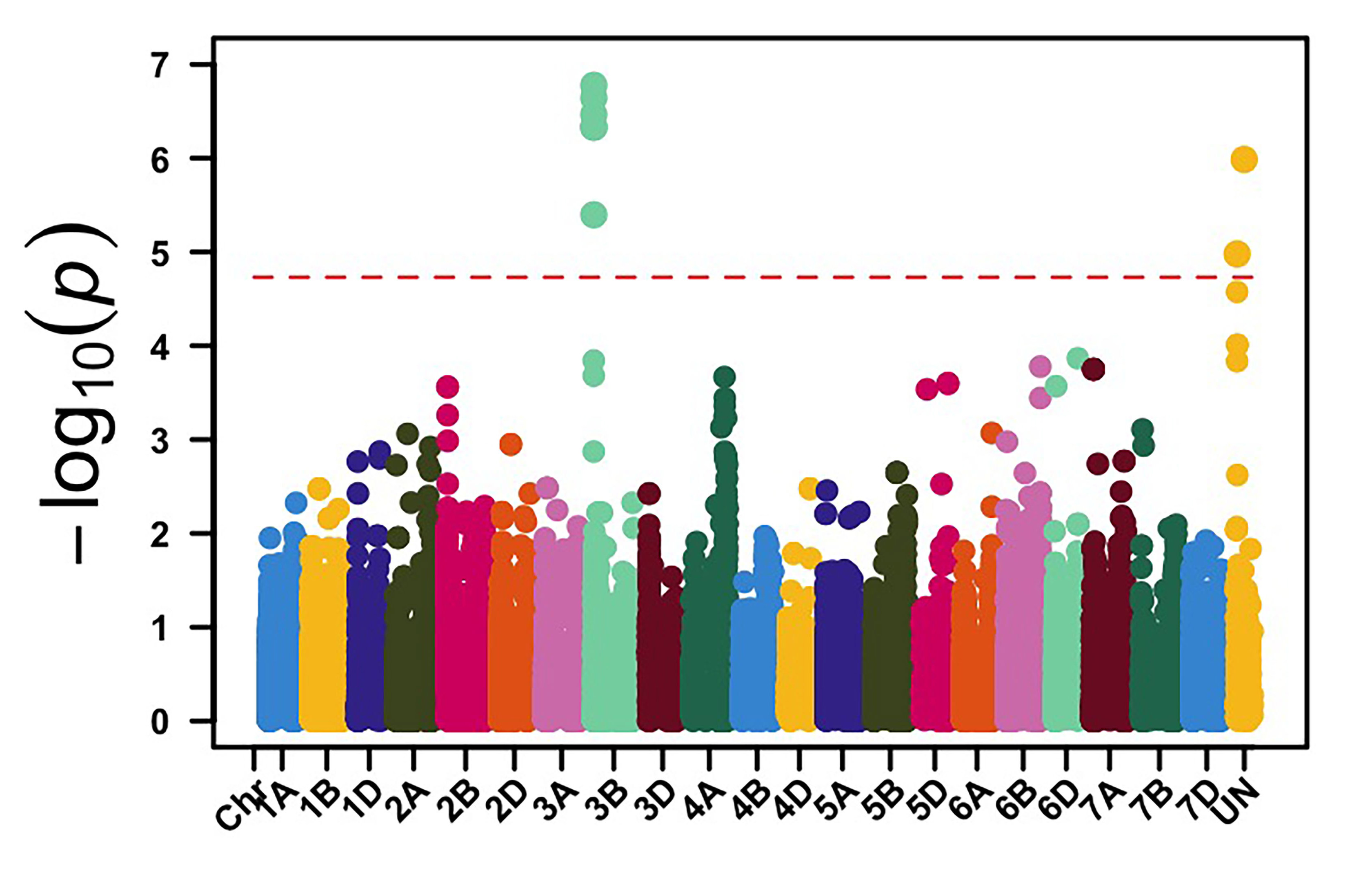 Genome-wide association mapping identified genomic regions on chromosome arms 3BS and 4BL associated with stripe rust data for Hutchinson, KS.