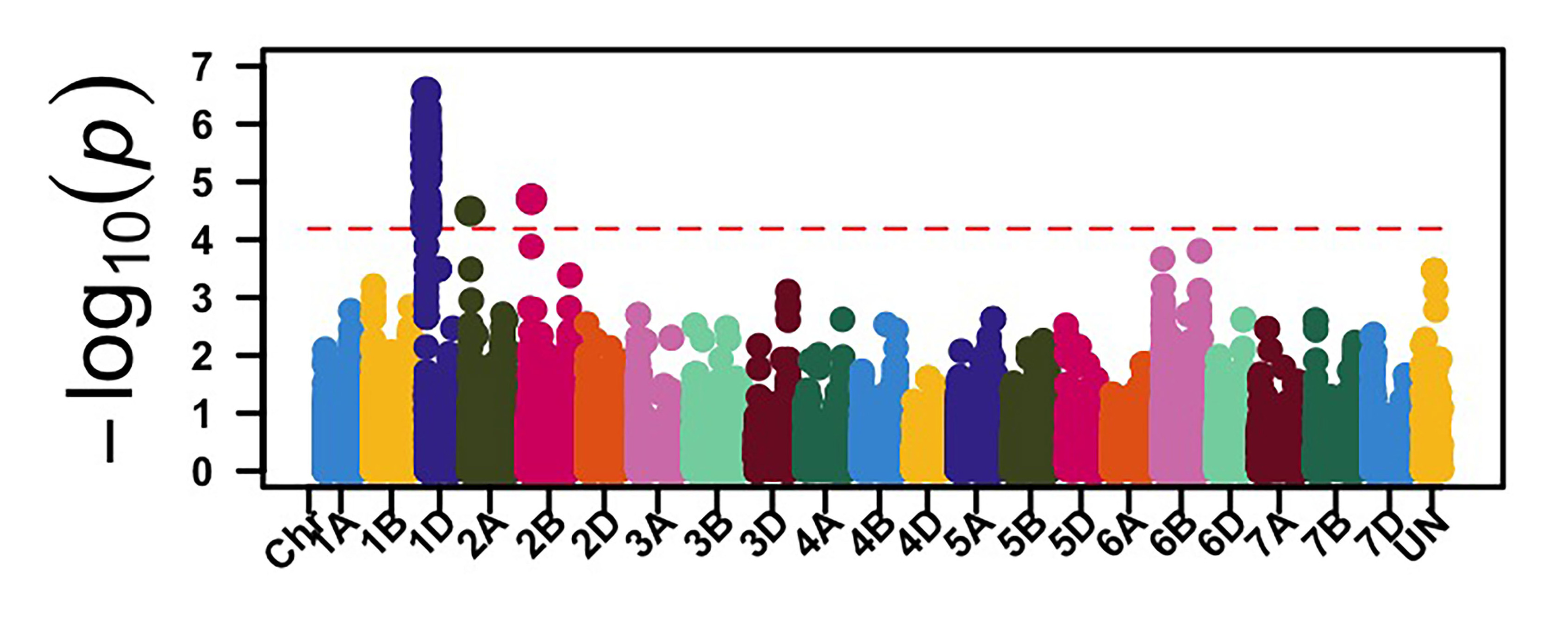 Genome-wide association mapping identified genomic regions associated with leaf rust response at the seedling stage against race MPPSD