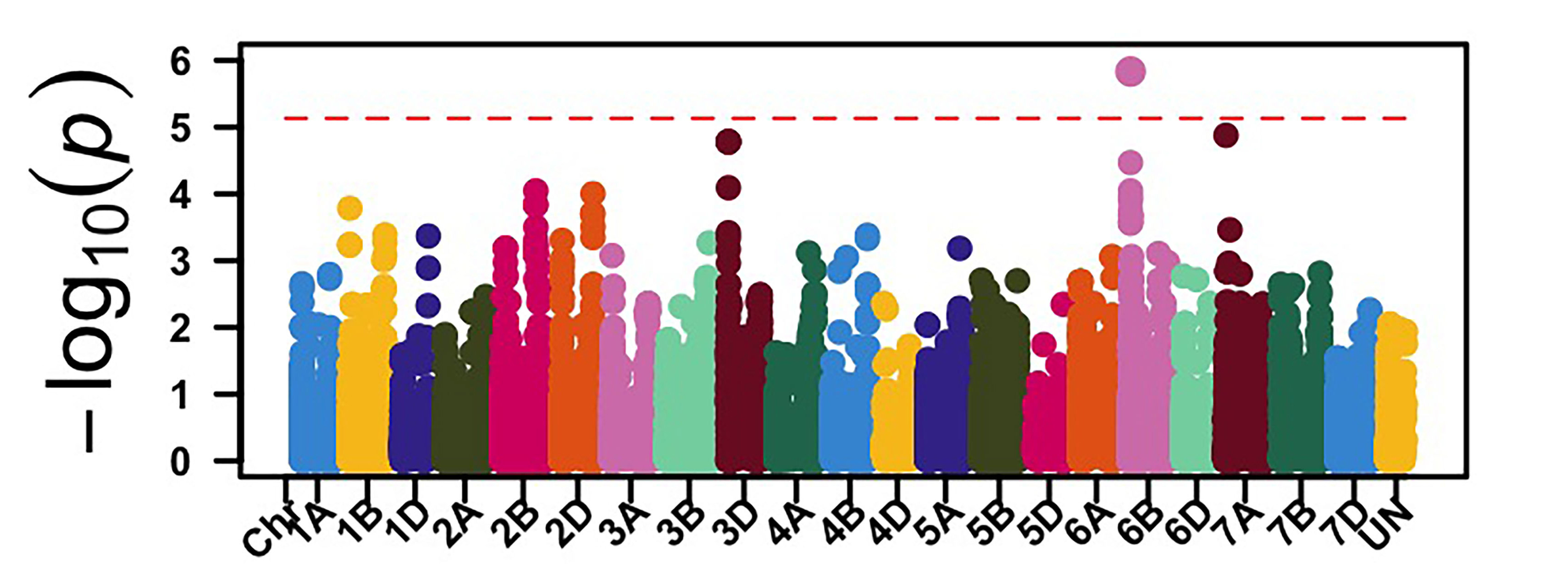 Genome-wide association mapping identified genomic regions associated with leaf rust response at the seedling stage against race TNBJS.