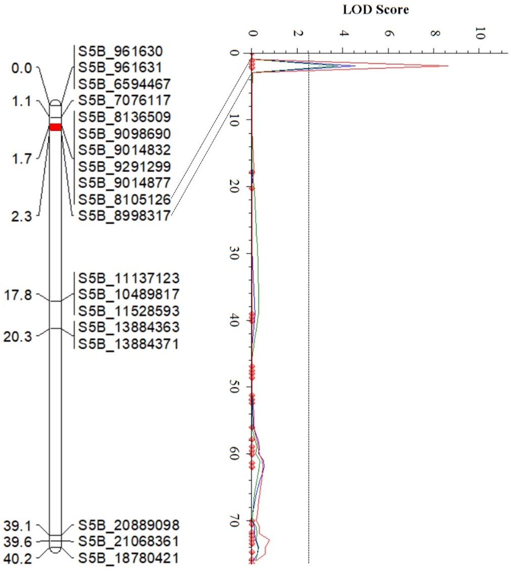 The linking map for QYr.Stars-5BS.