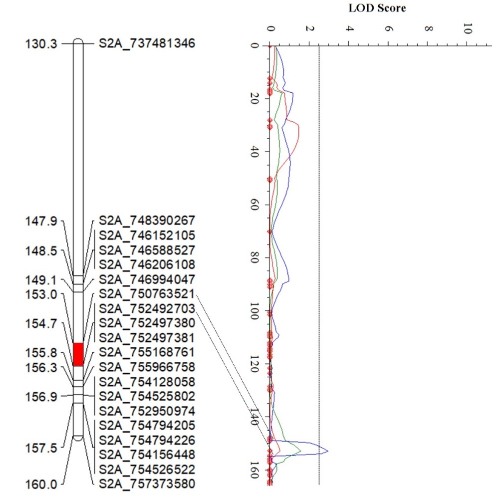 The linking map for QYr.Stars-2AL.
