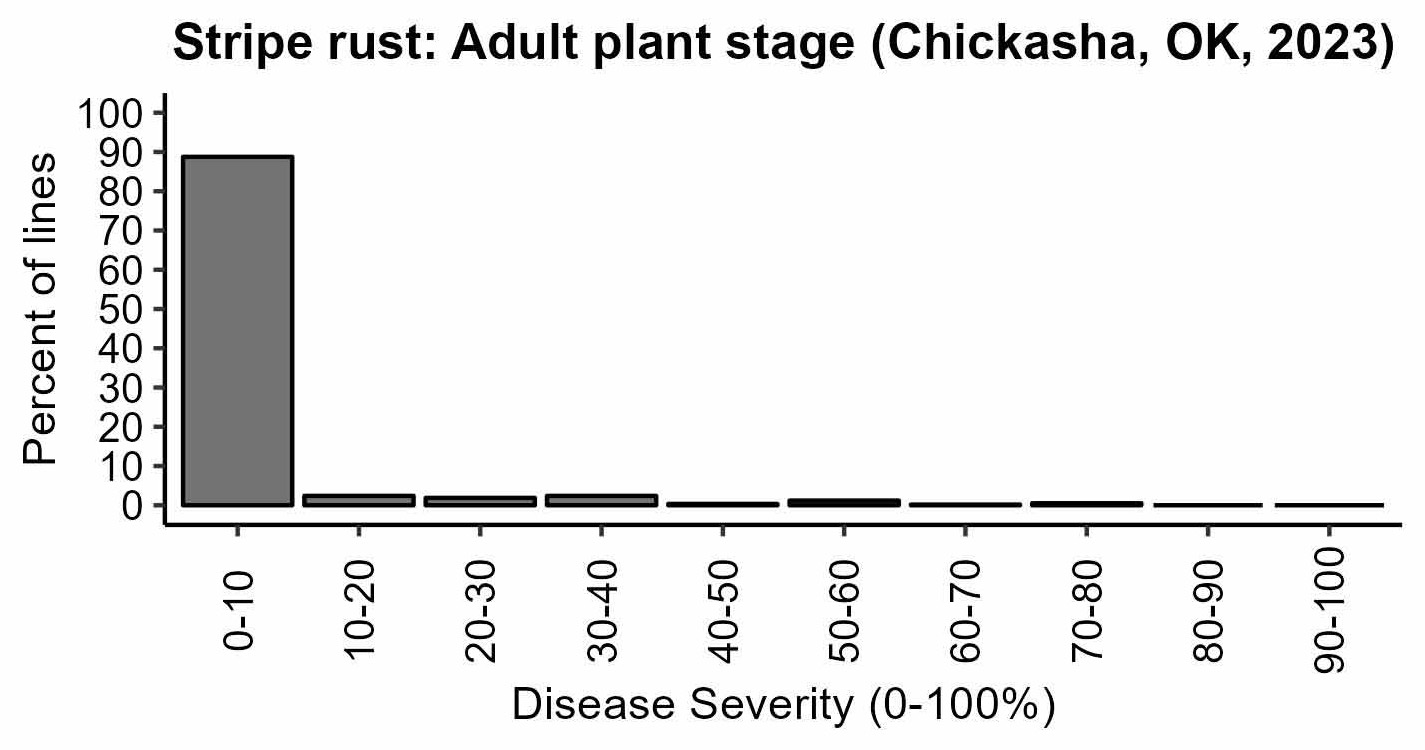 Data for Leaf Rust in the adult plant stage for Chickasha, OK.