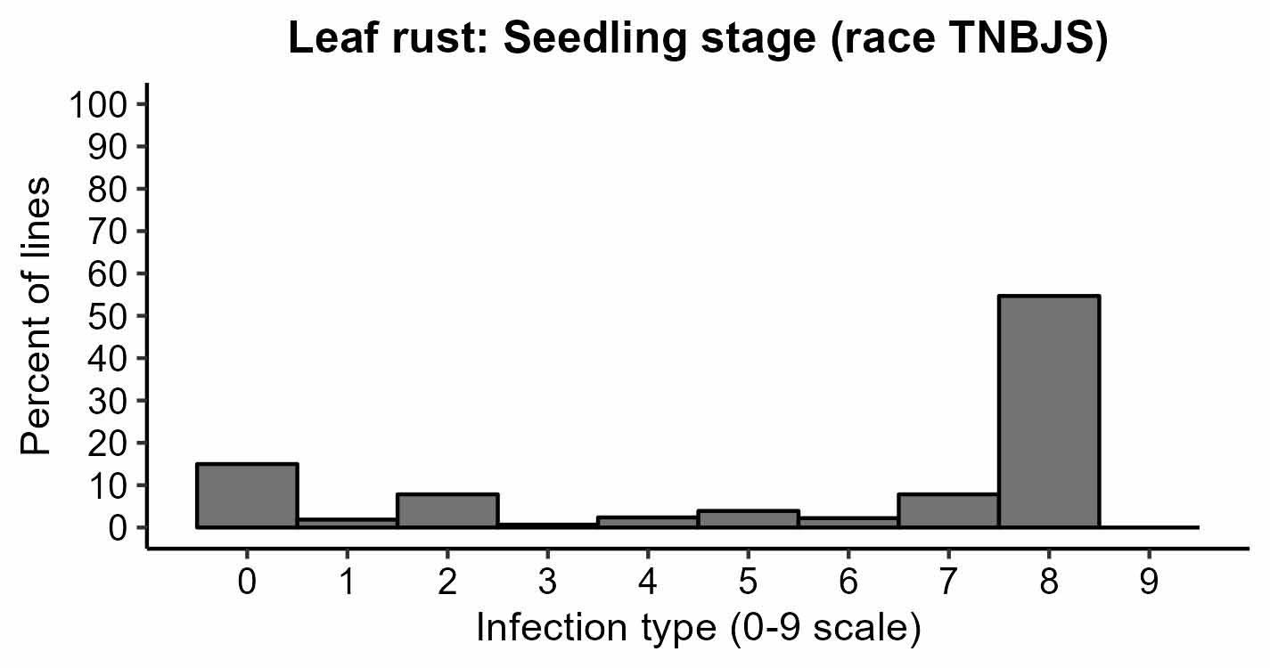 Data for leaf rust in the seedling stage for race TNBJS.