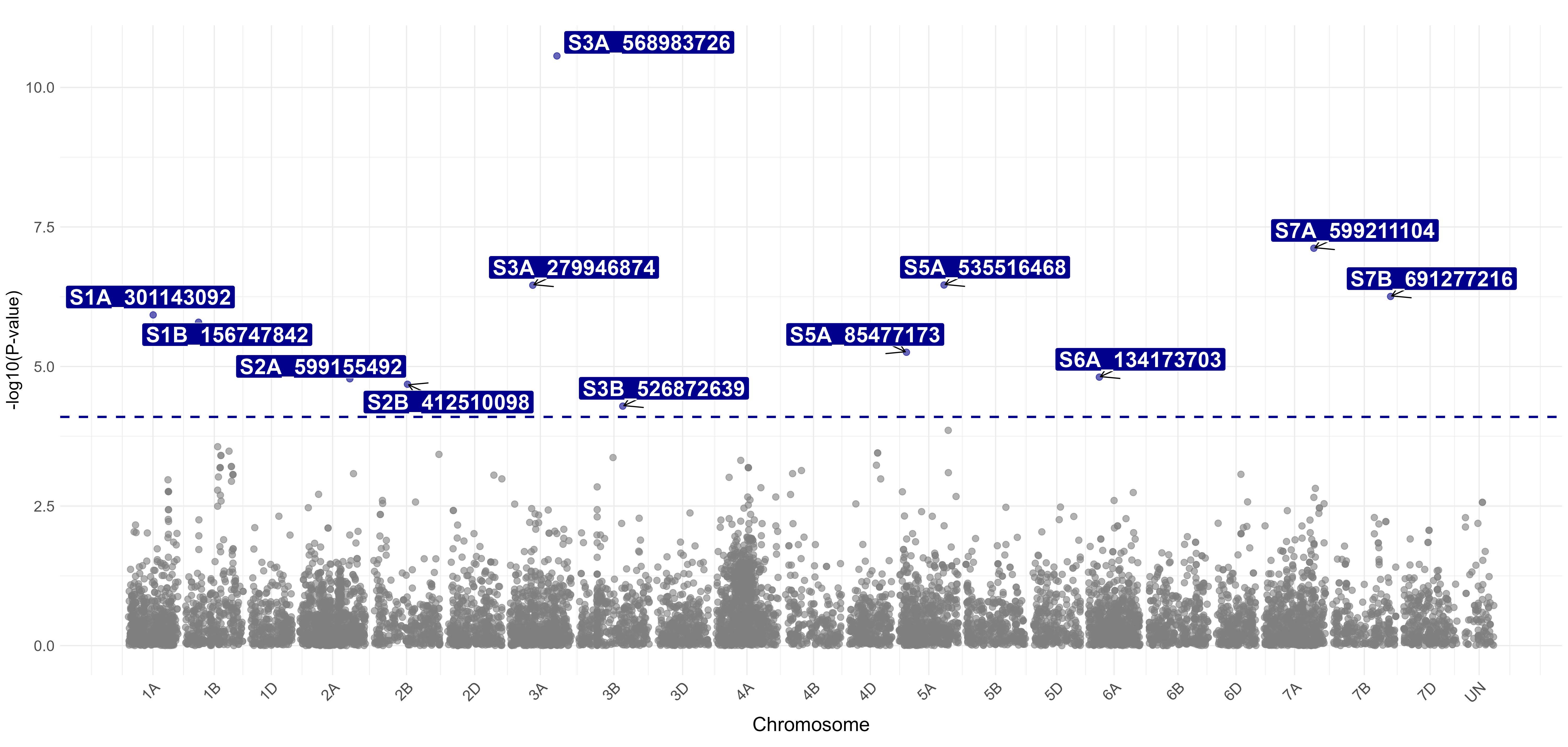 A chart of molecular markers.