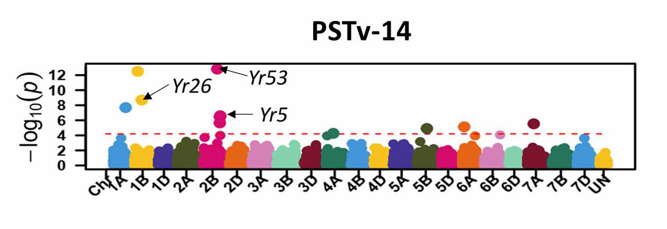 Data for PSTv-14.