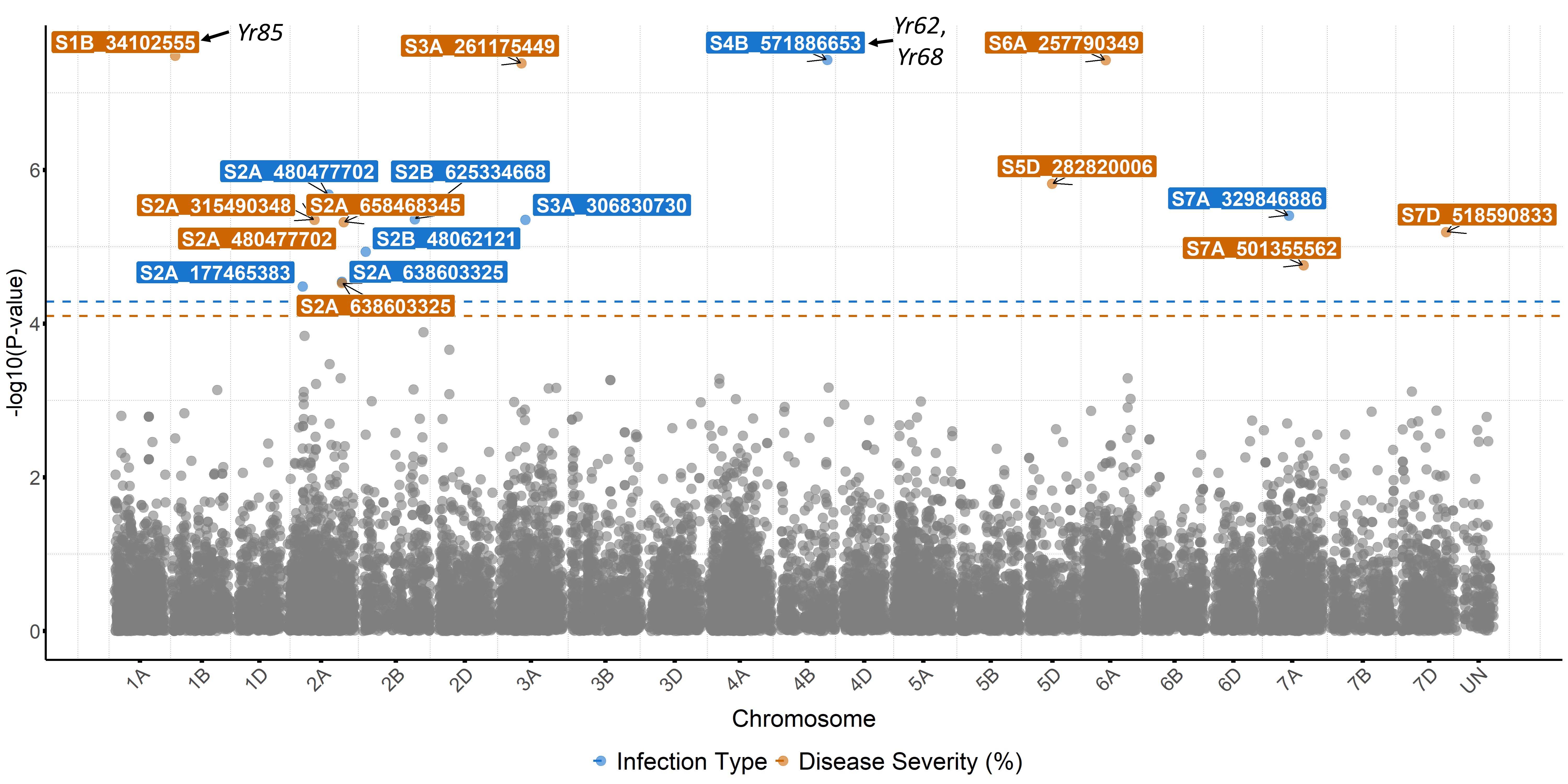 A molecular chart showing markers for infection type and disease severity.