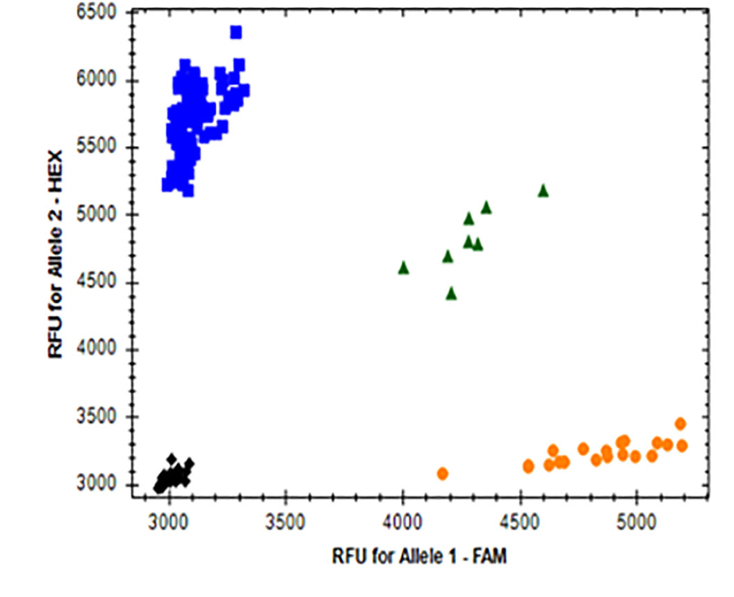 Graph A showing the Allellic Discrimination and RFU for Allele 2 - HEX from 3500-6500 in increments of 500 and RFU for Allele 1 - FAM from 3000-5000 in increments of 500.