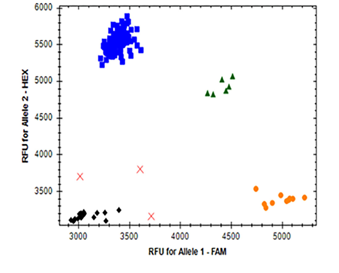 Graph C showing the Allellic Discrimination and RFU for Allele 2 - HEX from 3500-6500 in increments of 500 and RFU for Allele 1 - FAM from 3000-5000 in increments of 500.