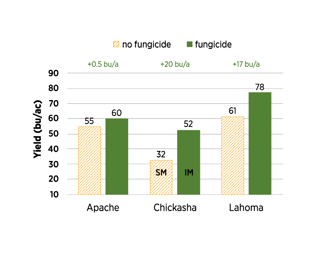 A bar chart of fungicide vs no fungicide data. A bar chart of fungicide vs no fungicide data.