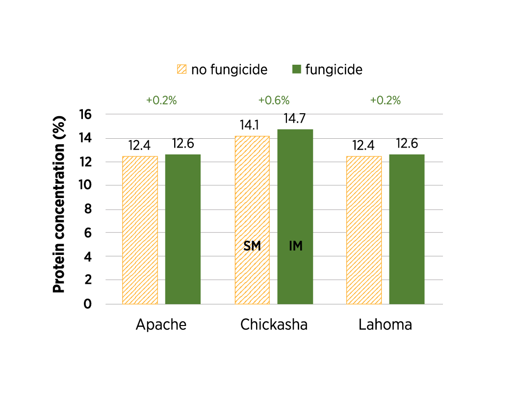 Wheat protein concentration comparisons for fungicide vs. non fungicide treatment comparisons Wheat protein concentration comparisons for fungicide vs. non fungicide treatment comparisons