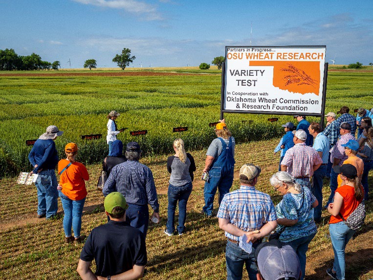 A group of people standing outside of a wheat field near a sign that reads "Partners in Progress OSU Wheat Research Variety Test in Cooperation with Oklahoma Wheat Commission & Research Foundation"