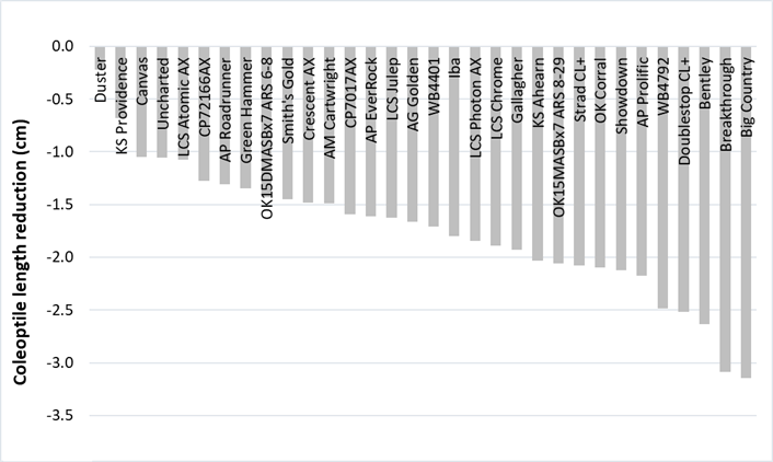 Coleoptile length reduction (i.e., coleoptile length at 86F minus coleoptile length at 68F) for selected wheat varieties tested in the 2021-2022 season