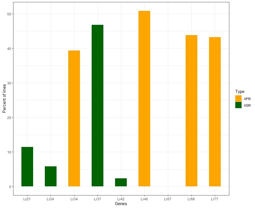 A bar graph showing the frequencies of leaf rust resistance genes showing the percent of lines from 0-50 in integers of 10 and the Genes Lr21, Lr24,, Lr34, Lr37, Lr42, Lr46, Lr67, Lr68 and Lr77.