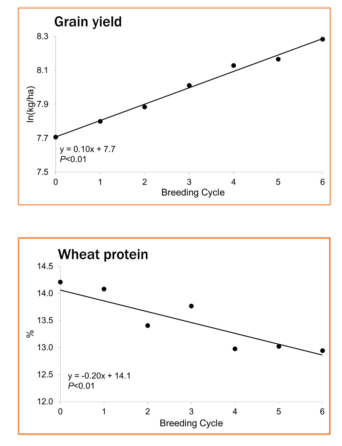Selection responses for grain yield and wheat protein (14% moisture basis) across six breeding cycles, beginning with Turkey in Cycle 0 and present-day varieties in Cycle 6. Published in Journal of Cereal Science. doi.org/10.1016/j.jcs.2020.102986
